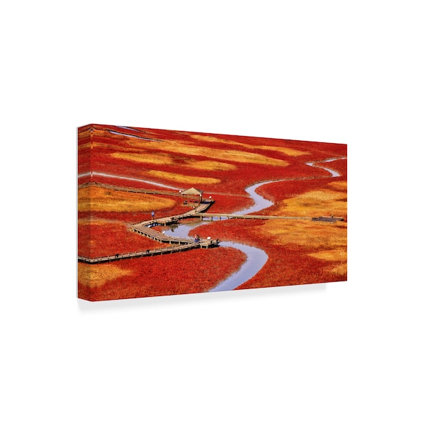 Tiger Seo 'Salt Pond' Canvas Art,12x24